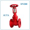 Van Cổng Ty Nổi AUTA DN200