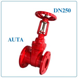 Van Cổng Ty Nổi AUTA DN250