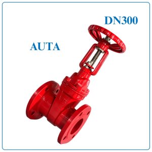 Van Cổng Ty Nổi AUTA DN300