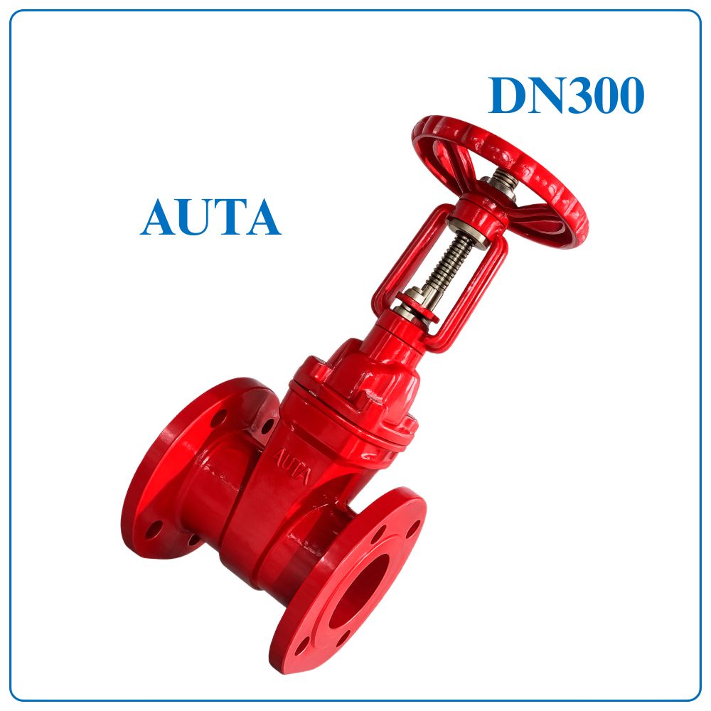 Van Cổng Ty Nổi AUTA DN300