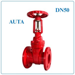 Van Cổng Ty Nổi AUTA DN50