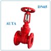Van Cổng Ty Nổi AUTA DN65