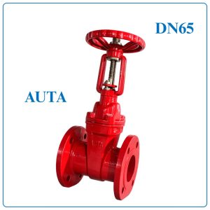 Van Cổng Ty Nổi AUTA DN65