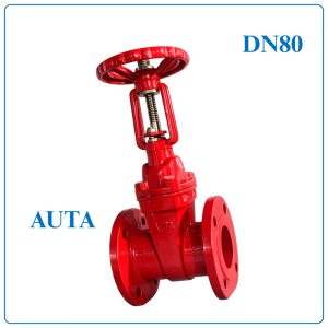 Van Cổng Ty Nổi AUTA DN80
