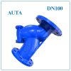 Y Lọc AUTA DN100