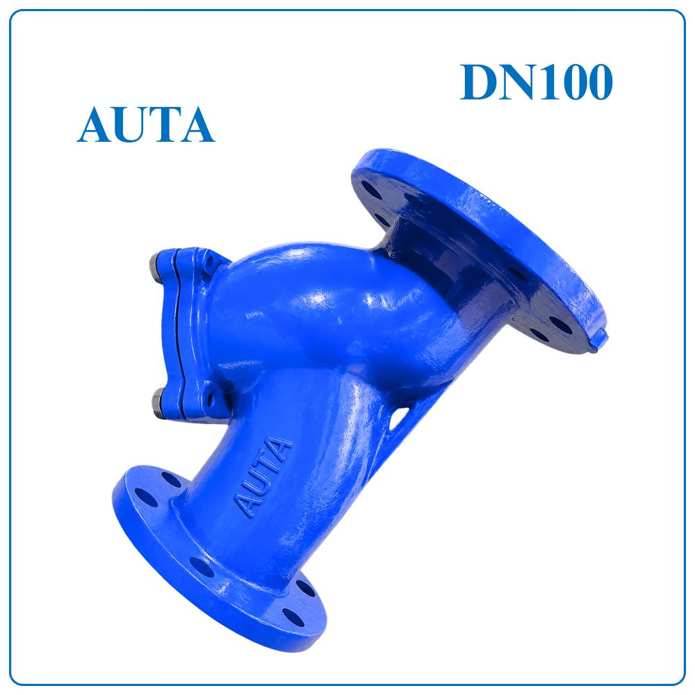 Y Lọc AUTA DN100