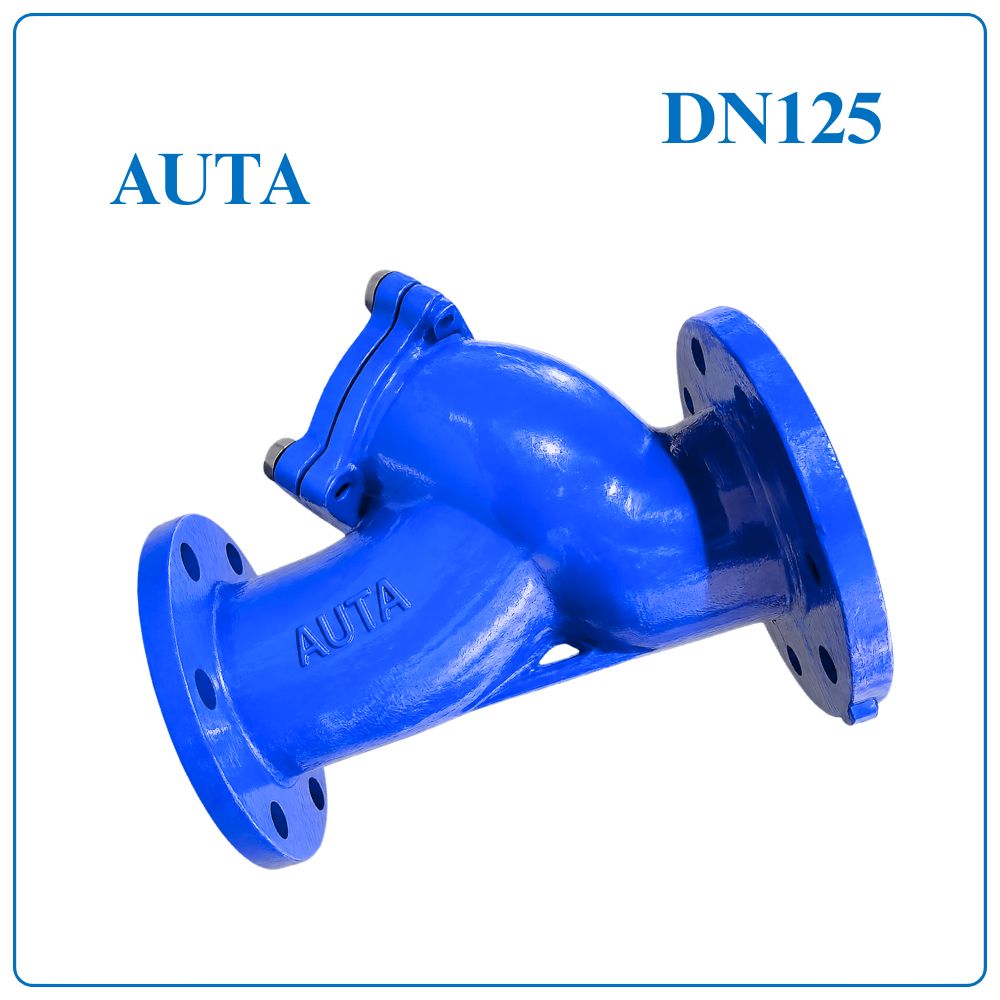 Y Lọc AUTA DN125