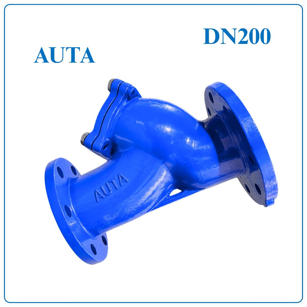 Y Lọc AUTA DN200