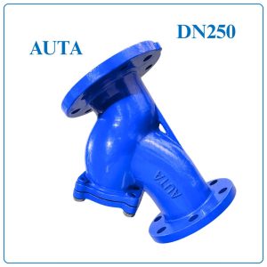Y Lọc AUTA DN250