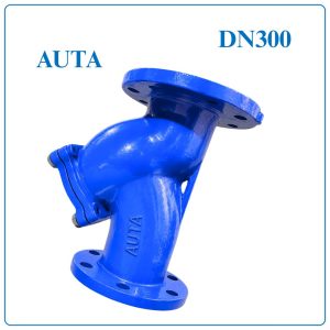 Y Lọc AUTA DN300