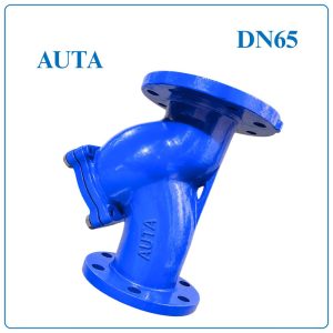 Y Lọc AUTA DN65